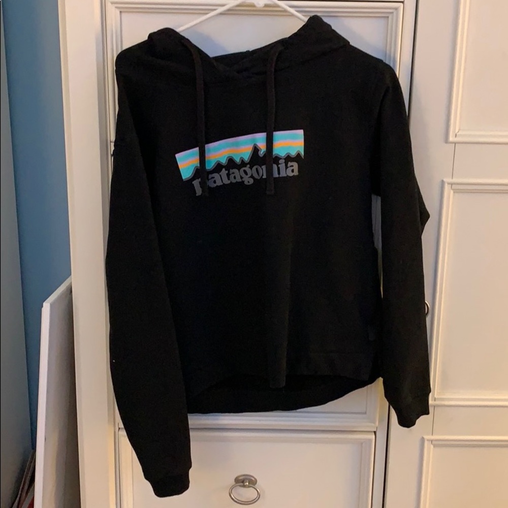 Hoodie Patagonia